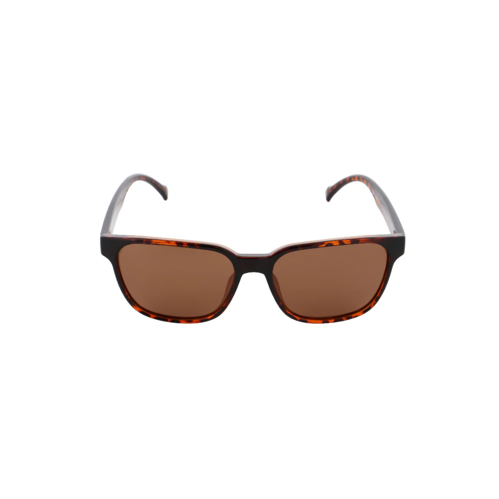CARY RX - HAVANNA-BROWN
